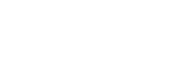 Zpět domů